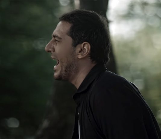 Арам Егиазарян выпустил видео "Qez Karotel Em"