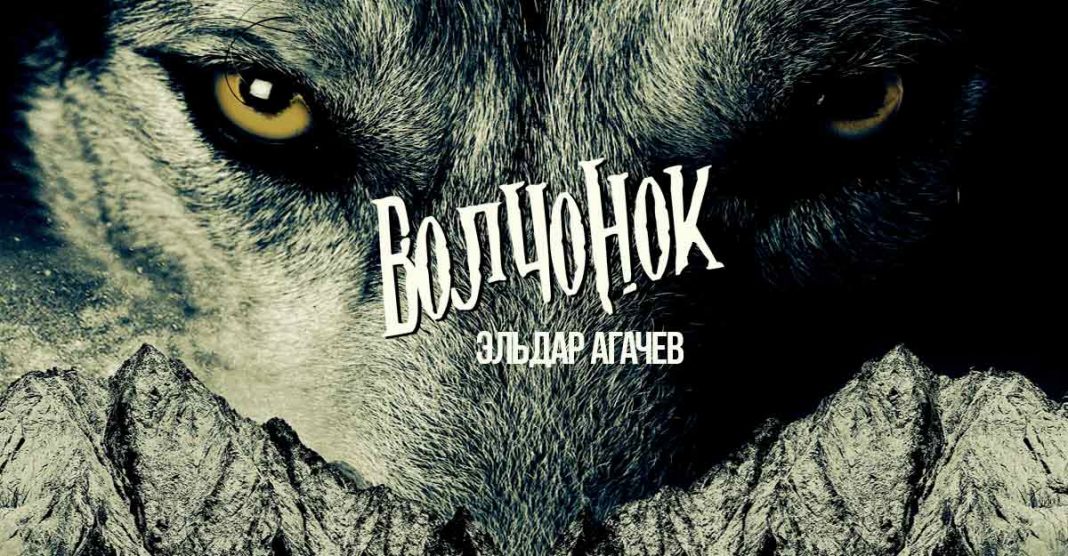 Эльдар Агачев выпустил новый трек «Волчонок»