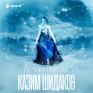 Казим Шидаков. «Белым снегом»