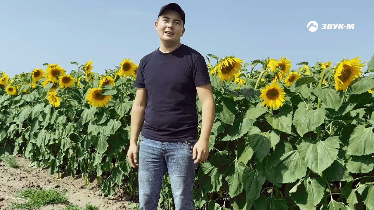 Валерий Милютин — Трактористы | Премьера клипа 2023