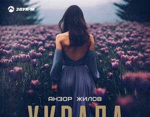 Анзор Жилов. «Украла»