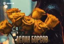 Аслан Борсов. «Желтые розы»