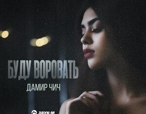 Дамир Чич. «Буду воровать»