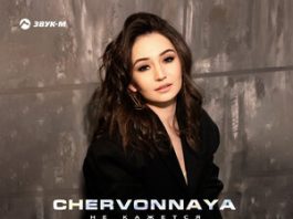 Chervonnaya. "It does not seem"