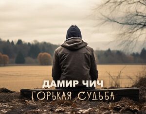 Дамир Чич. «Горькая судьба»