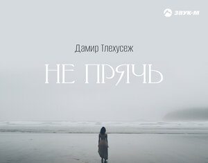 Дамир Тлехусеж. «Не прячь»