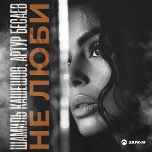 Шамиль Кашешов, Артур Бесаев. «Не люби»