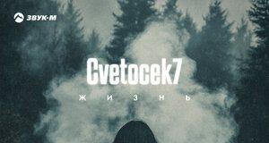 Cvetocek7. «Жизнь»