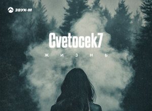 Cvetocek7. «Жизнь»