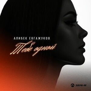 Алибек Евгажуков. «Тебе одной»