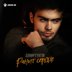 Дамир Гуагов. «Ранит сердце»
