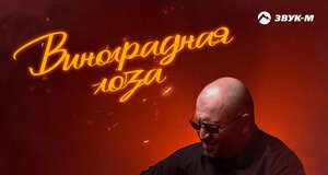 Олежка Каспер. «Виноградная лоза»