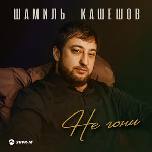 Шамиль Кашешов. «Не гони»