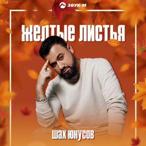 Шах Юнусов. «Желтые листья»