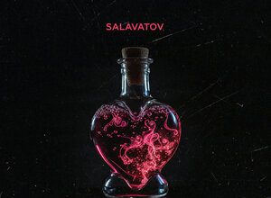 Salavatov. «Химия»