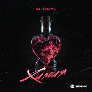 Salavatov. «Химия»