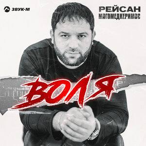 Рейсан Магомедкеримов. «Воля»