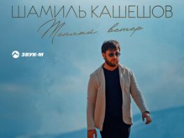 Шамиль Кашешов. «Тёплый ветер (Lezginka Remix)»