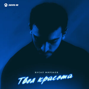 Вусал Мирзаев. «Твоя красота»