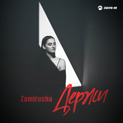 Zamirusha. «Держи»