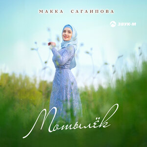 Макка Сагаипова. «Мотылек»