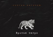 Братья тигры