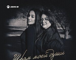 Тома Арутюнян, Света Арутюнян. «Шрам моей души»