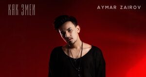 Aymar Zairov. «Как змеи»