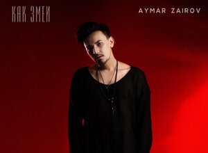 Aymar Zairov. «Как змеи»