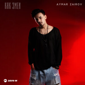 Aymar Zairov. «Как змеи»