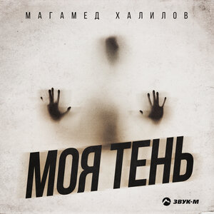 Магамед Халилов. «Моя тень»