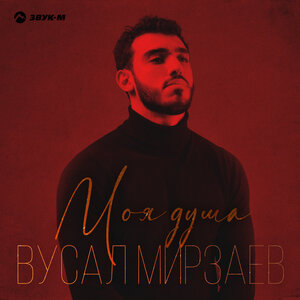 Вусал Мирзаев. «Моя душа»