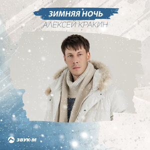 Алексей Кракин. «Зимняя Ночь»