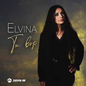 Elvina. «Ты вор»