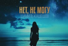 Шамиль Кашешов. «Нет, не могу»
