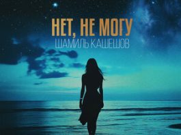 Шамиль Кашешов. «Нет, не могу»