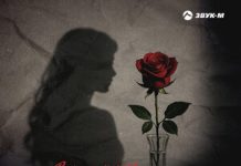 Shano. «Все или ничего»