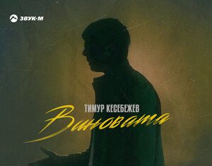 Тимур Кесебежев. «Виновата»
