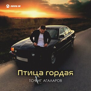 Тофиг Агаларов. «Птица гордая»