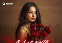 Альберт Эркенов. «Дикая роза»