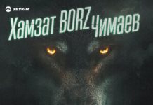 Эльдар Агачев. «Хамзат BORZ Чимаев»