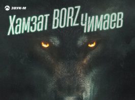 Эльдар Агачев. «Хамзат BORZ Чимаев»