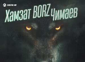 Эльдар Агачев. «Хамзат BORZ Чимаев»
