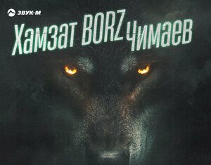 Эльдар Агачев. «Хамзат BORZ Чимаев»