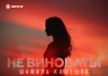 Шамиль Кашешов. «Не виноваты»
