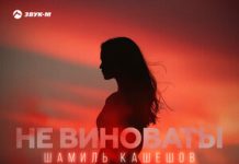 Шамиль Кашешов. «Не виноваты»