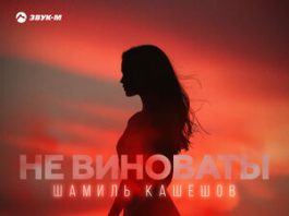 Шамиль Кашешов. «Не виноваты»