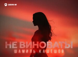 Шамиль Кашешов. «Не виноваты»