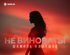 Шамиль Кашешов. «Не виноваты»