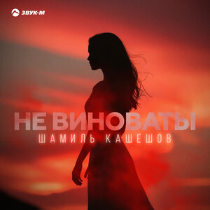 Шамиль Кашешов. «Не виноваты»